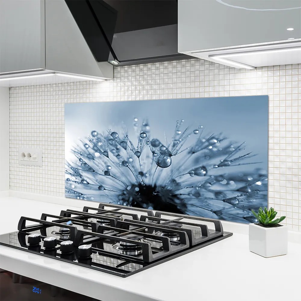 Panel Szklany do Kuchni Dmuchawiec w Porannej Rosie