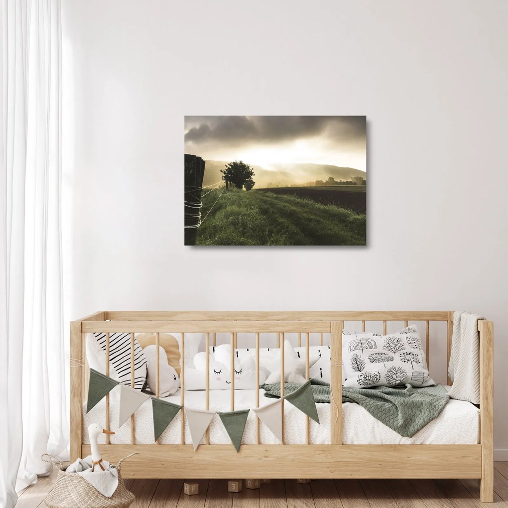 Obraz na szkle - łąka (70x50 cm)