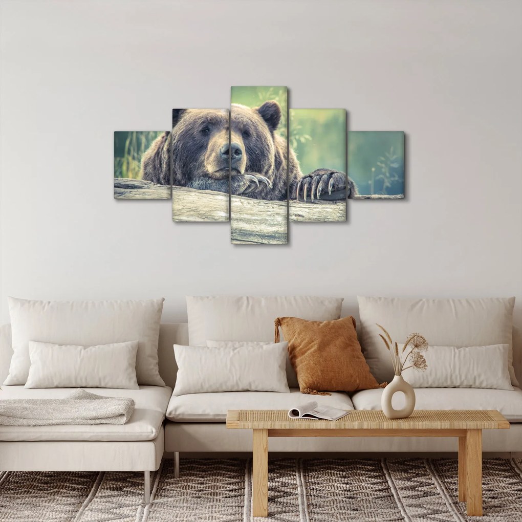 Obraz niedźwiedzia (125x70 cm)