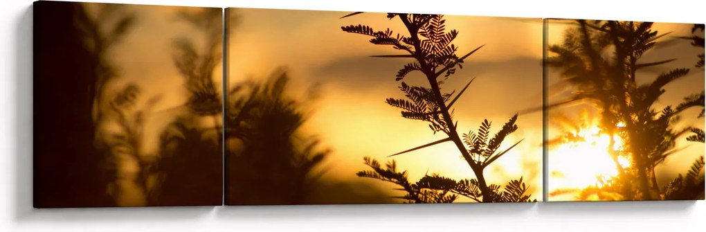 Obraz - słońce zachodzące za drzewami (170x50 cm)