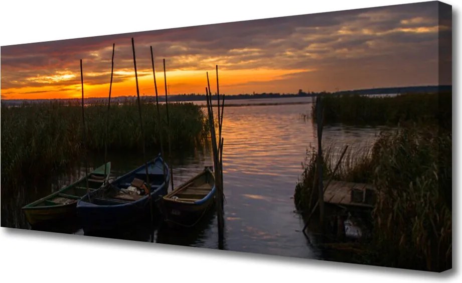 Obraz canvas Łodzie na Trawiastym Brzegu