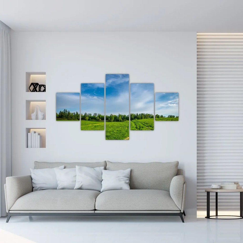 Obraz łąki (125x70 cm)