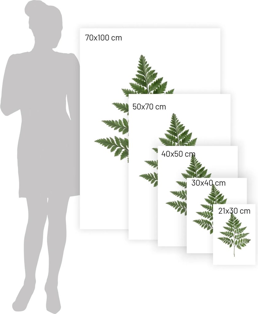 Plakat Fern Green