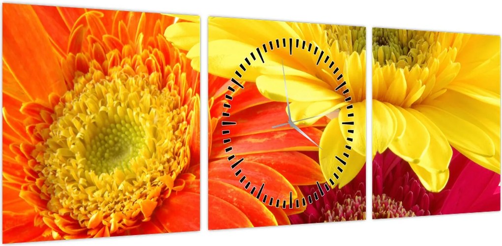 Obraz - Kwiaty Gerbery (z zegarem) (90x30 cm)