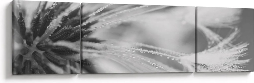 Obraz - Mlecz (170x50 cm)