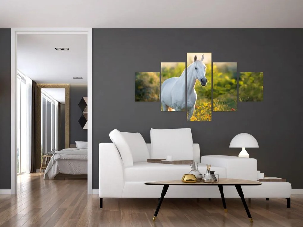 Obraz białego konia na łące (125x70 cm)