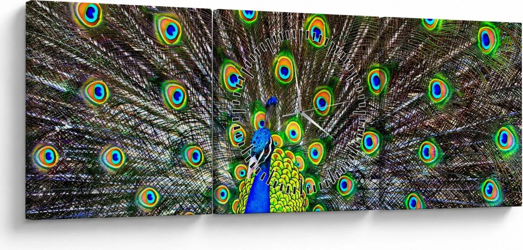 Obraz - Paw (z zegarem) (90x30 cm)