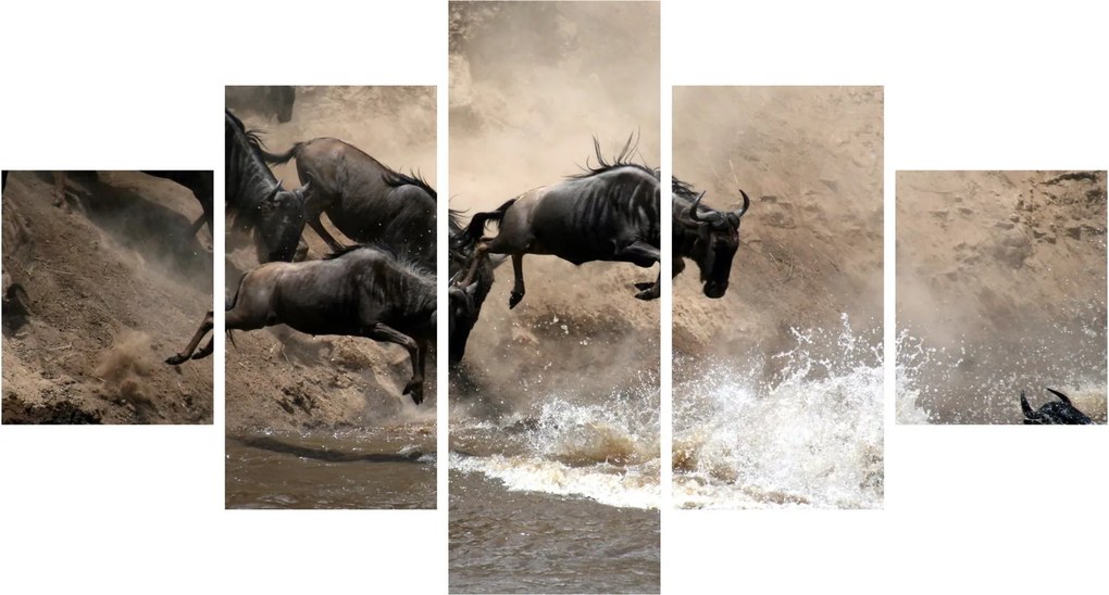 Obraz - Stado antylop gnu (125x70 cm)
