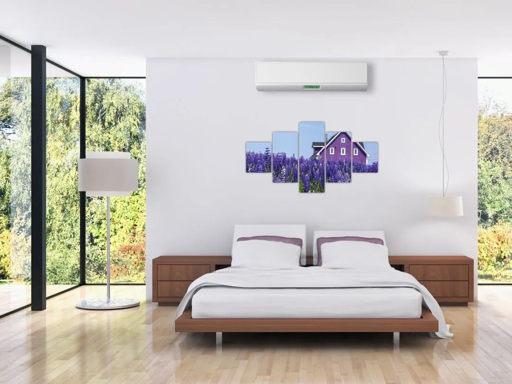 Obraz lawendowego pola (125x70 cm)