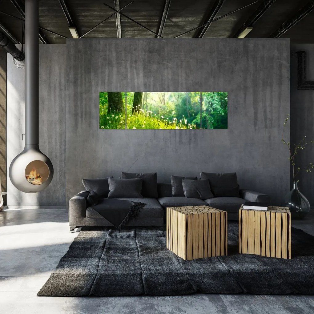 Obraz - Magiczna łąka pełna mniszków lekarskich (170x50 cm)