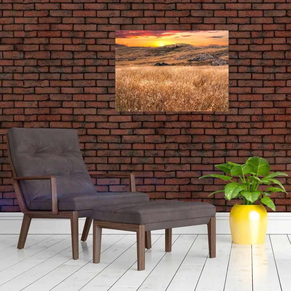 Obraz pola (70x50 cm)
