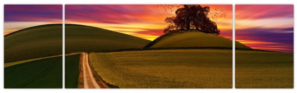 Obraz pola i kolorowego nieba (170x50 cm)