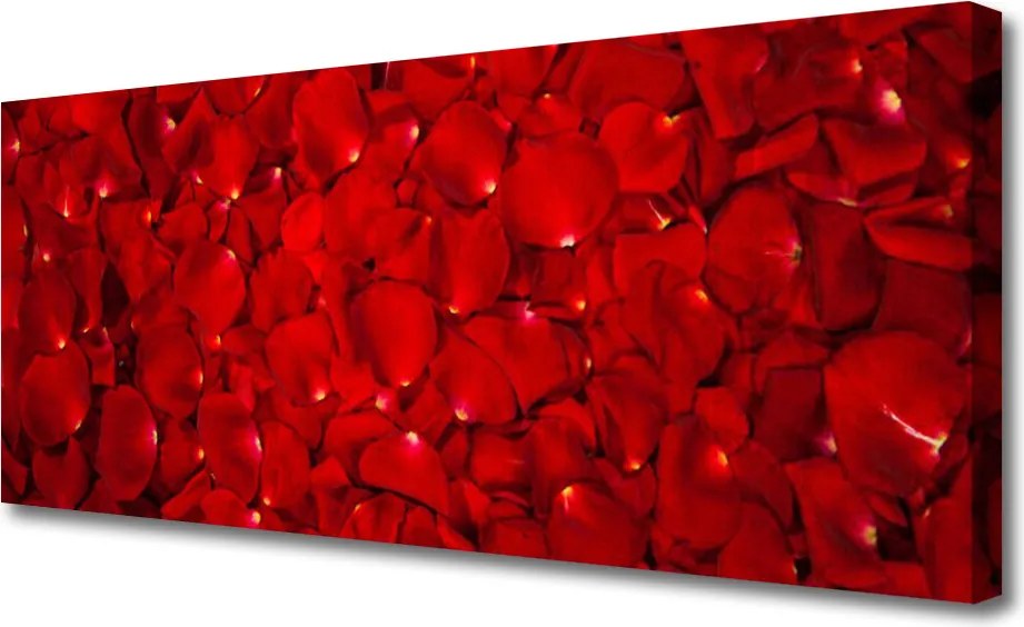 Obraz canvas Delikatne Płatki w Zbliżeniu