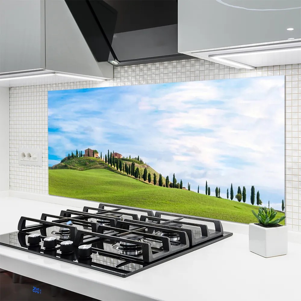 Panel nad blat kuchenny Samotne Drzewo na Polanie