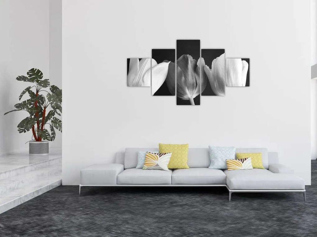 Obraz - Czarno - białe kwiaty tulipanów (125x70 cm)