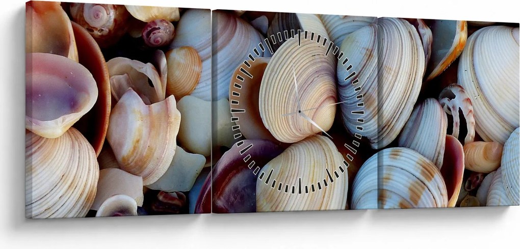 Obraz muszelek (z zegarem) (90x30 cm)