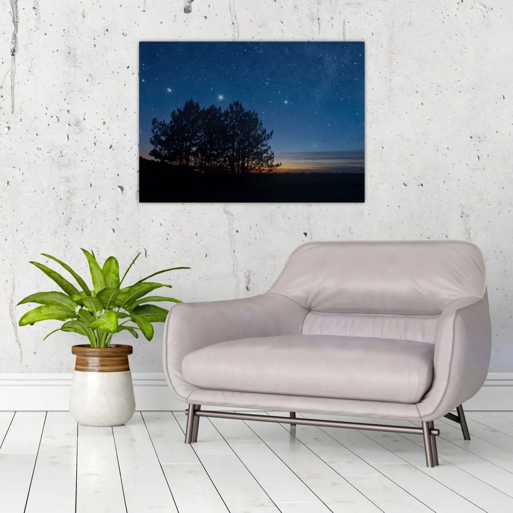 Obraz na szkle drzew w nocy (70x50 cm)