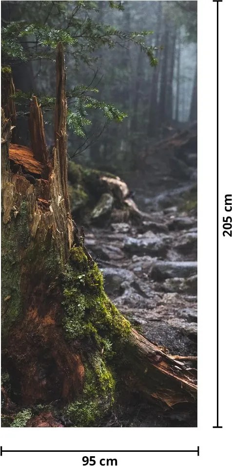 Fototapeta na drzwi - W lesie (95x205cm)