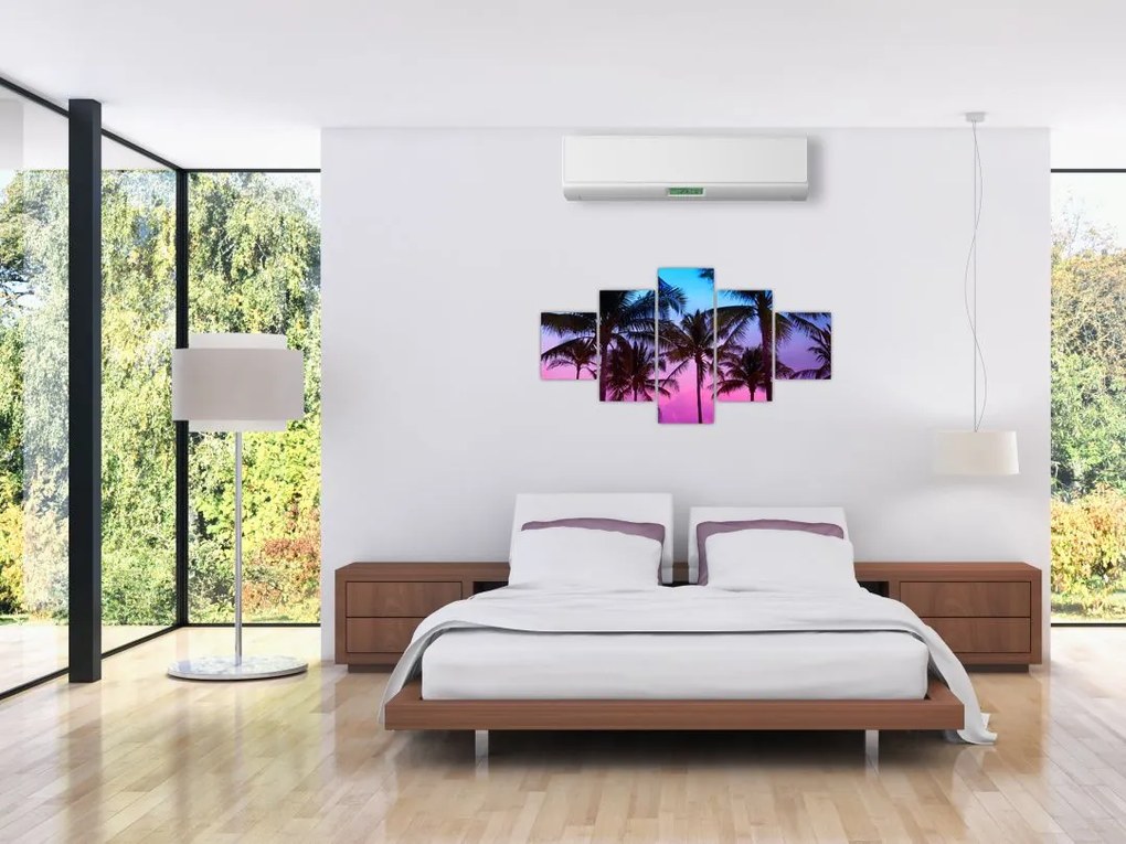 Obraz - Palmy w Miami (125x70 cm)