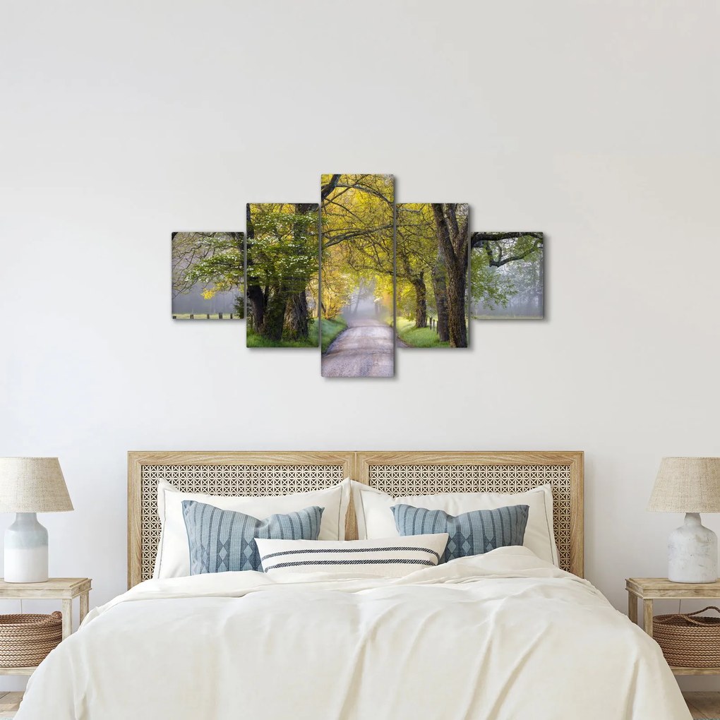 Zdjęcie - Smoky Mountains, Gatlinburg, USA (125x70 cm)