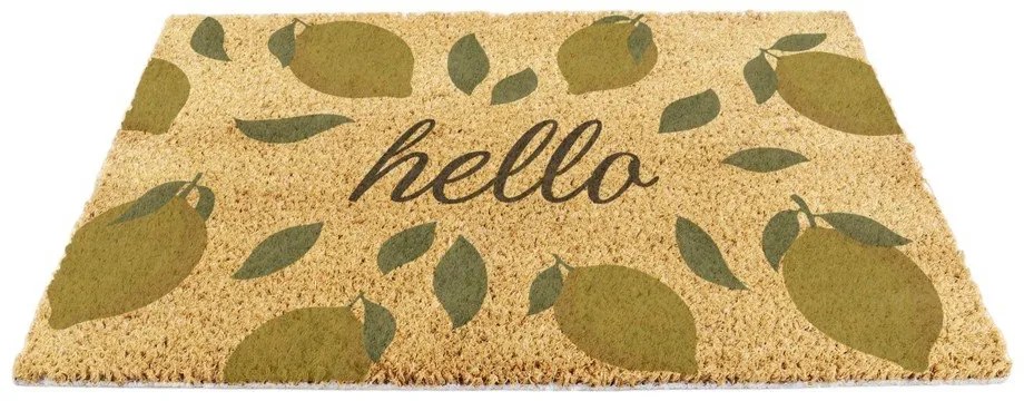 Wycieraczka z włókna kokosowego 40x60 cm Hello Lemons – Artsy Doormats