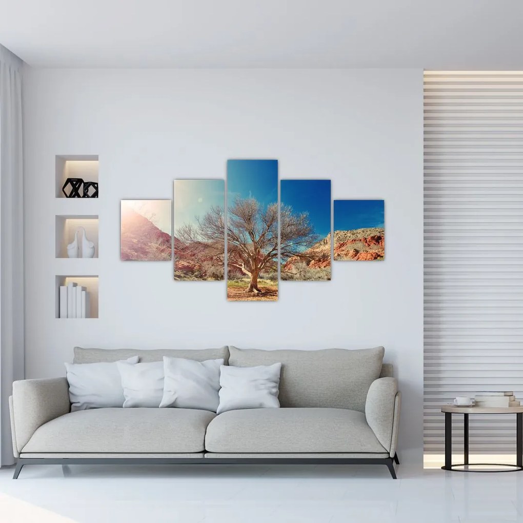Obraz drzewa na pustyni (125x70 cm)