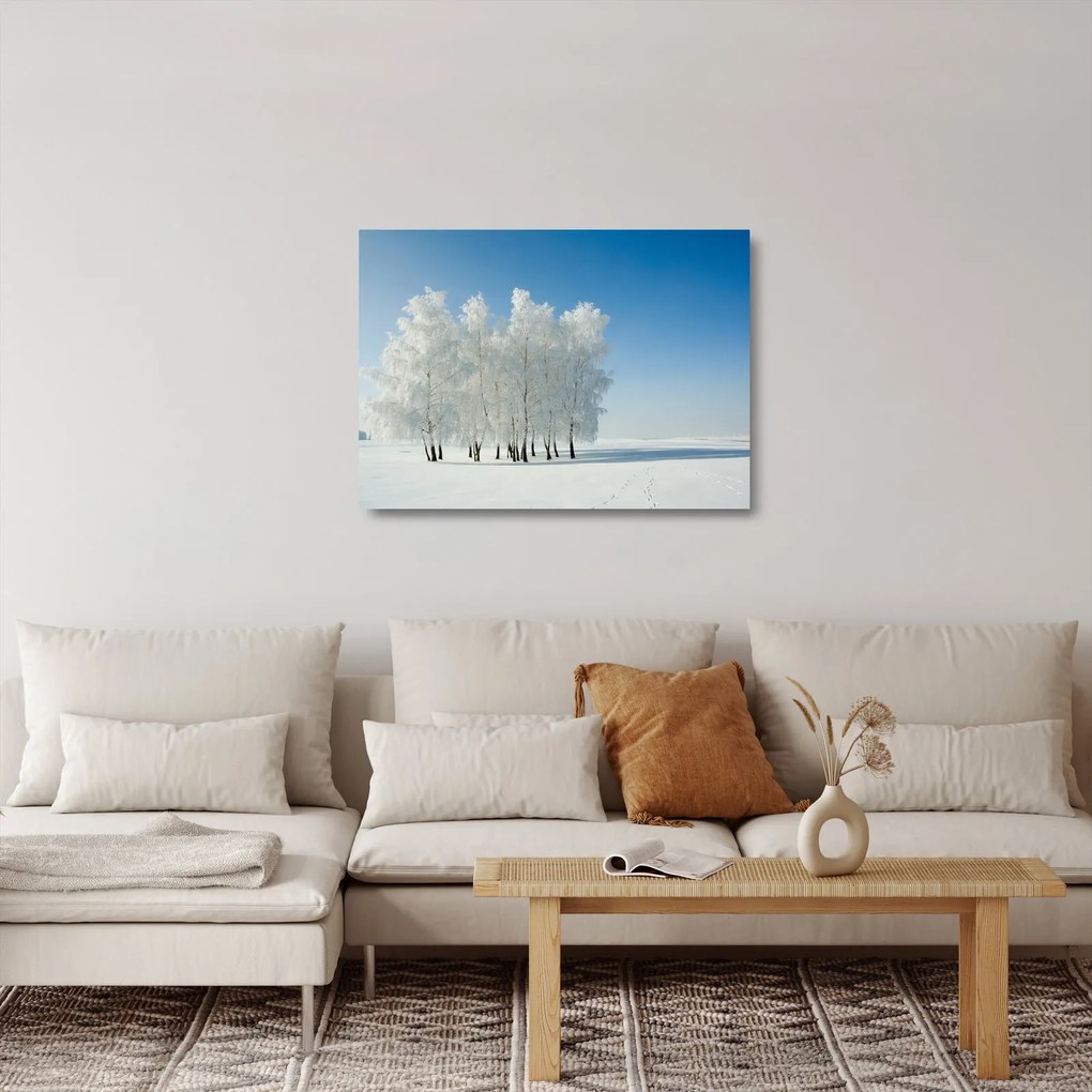 Obraz na szkle zaśnieżonego krajobrazu (70x50 cm)
