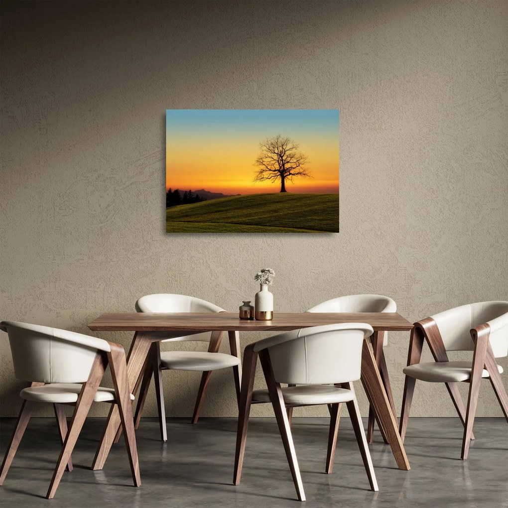 Obraz na szkle drzewa na polu (70x50 cm)