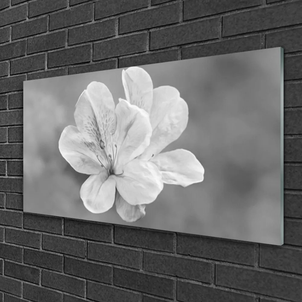 Obraz Akrylowy Kwiaty Roślina