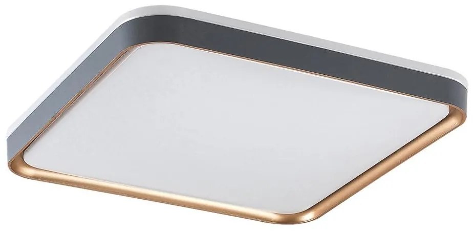 Rabalux 71029 - Lampa sufitowa LED LIATRIS LED/26W/230V 3000K