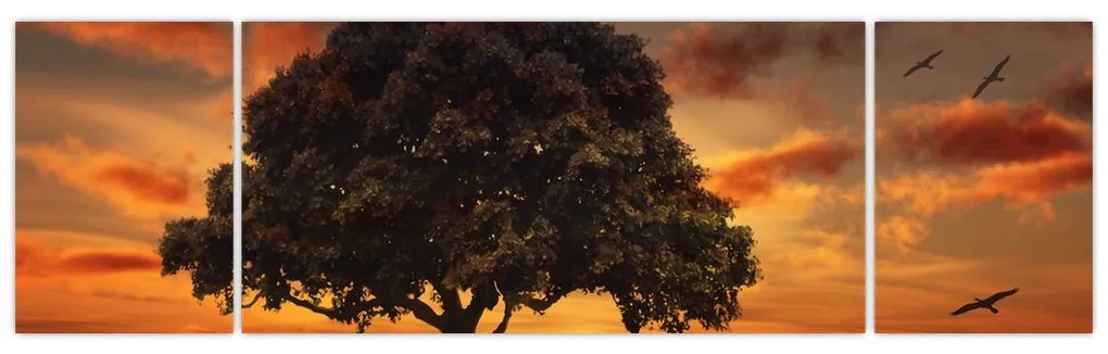 Obraz drzewa o zachodzie słońca (170x50 cm)