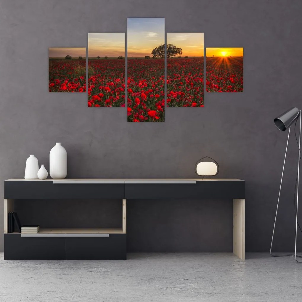 Obraz łąki z makami (125x70 cm)