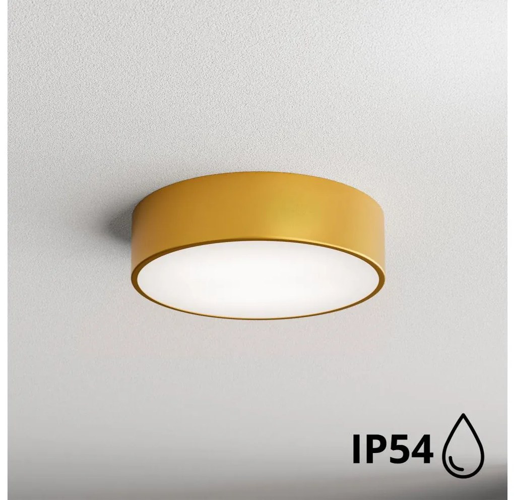 Brilagi - Plafon łazienkowy CLARE 2xE27/24W/230V śr. 30 cm IP54 złoty