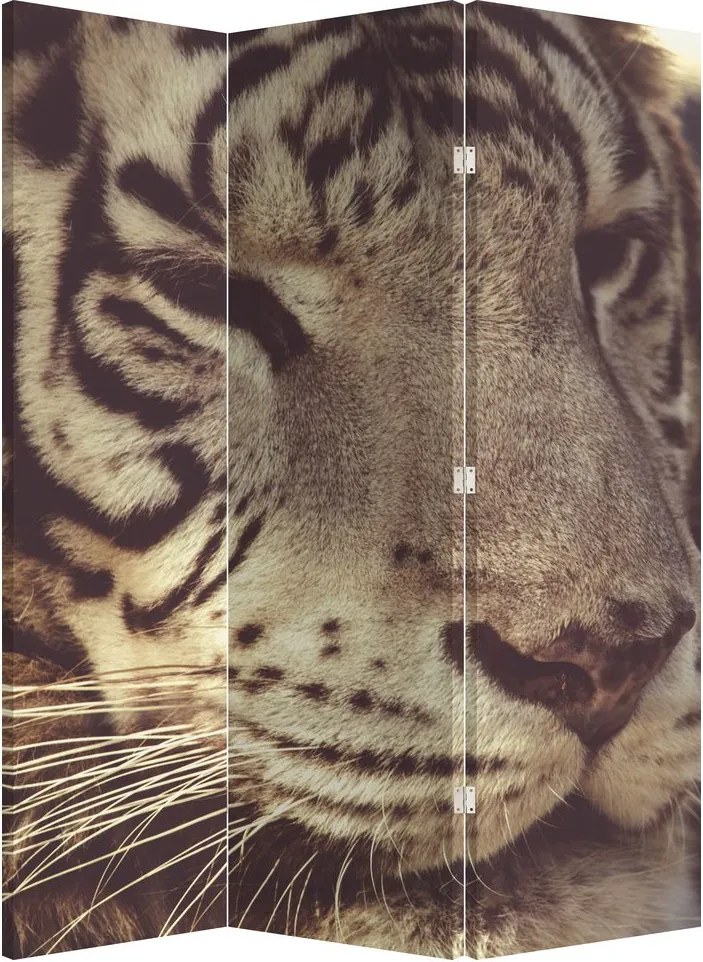 Parawan - Tygrys (126x170 cm)
