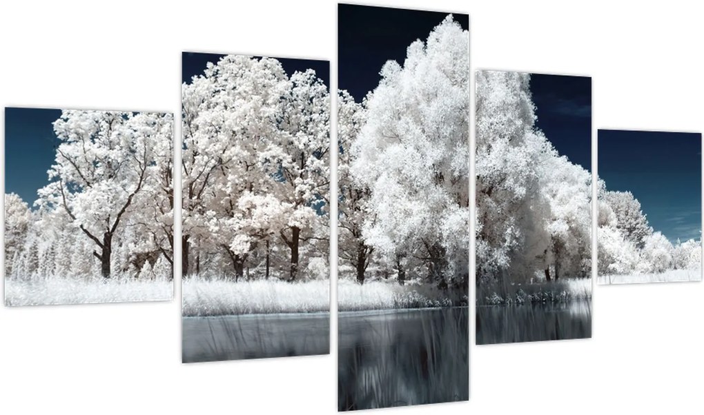 Obraz - Śnieżnobiałe drzewa (125x70 cm)