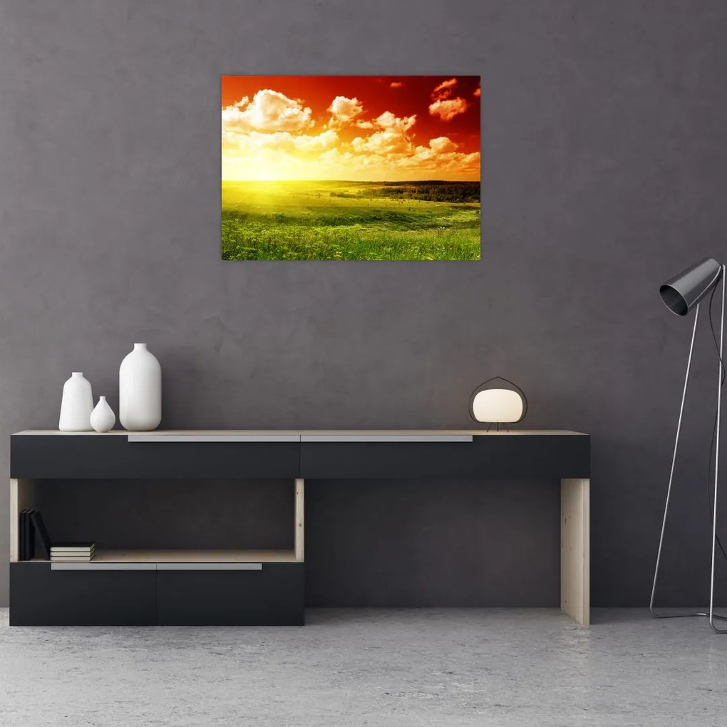 Obraz łąki ze świecącym słońcem (70x50 cm)