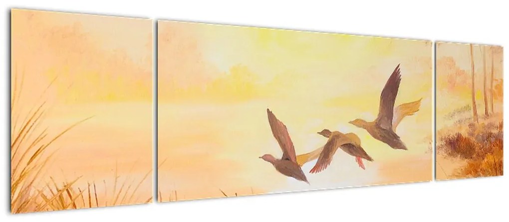 Obraz - Żurawie o zachodzie słońca (170x50 cm)