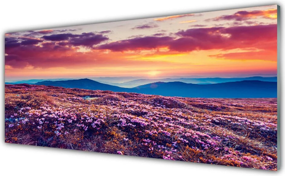 Panel Kuchenny Kwiatowy Dywan U Stóp Gór