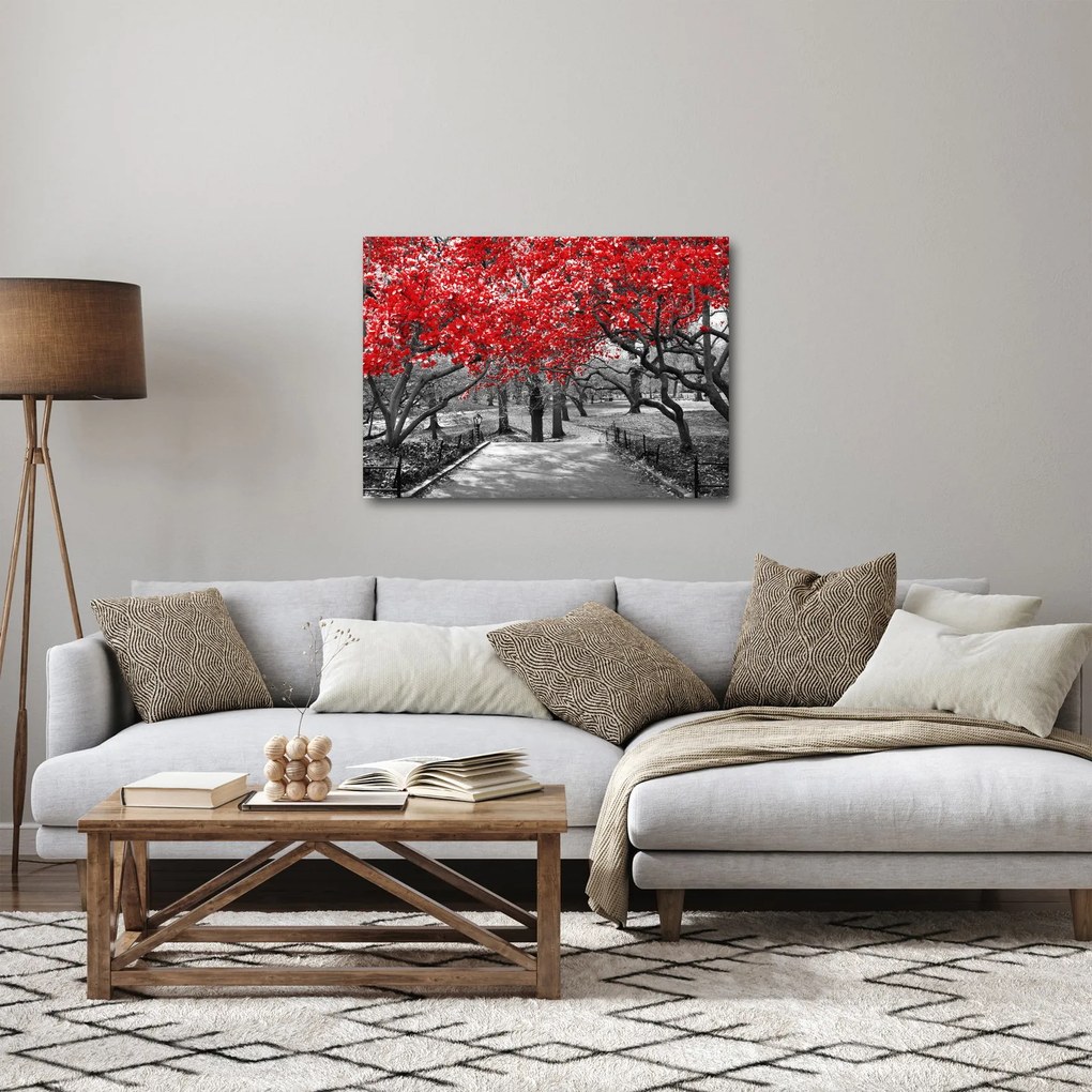 Obraz - Czerwone drzewa, Central Park, New York (70x50 cm)