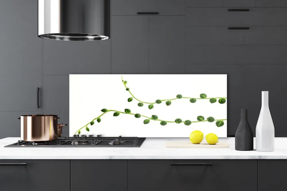 Panel Kuchenny Stylowa Roślina Dekoracyjna