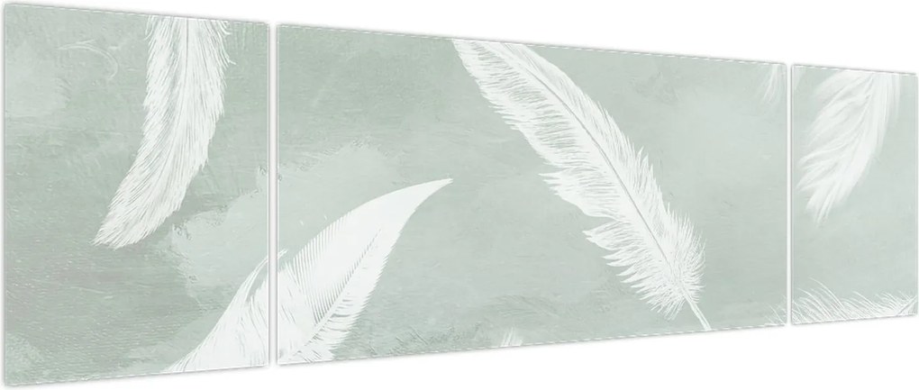 Obraz - Białe pióra (170x50 cm)