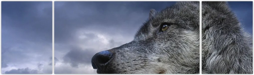 Obraz - Głowa wilka (170x50 cm)