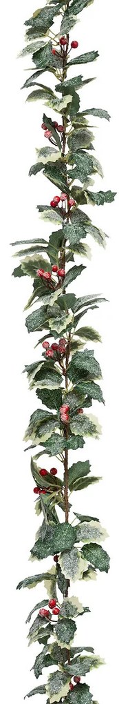 Girlanda z liści ostrokrzewu, 180 cm