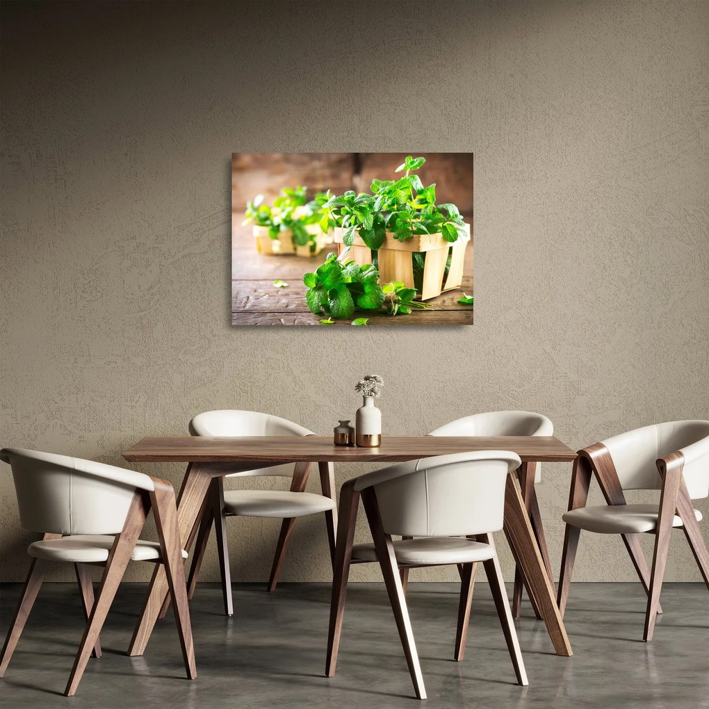 Obraz na szkle - świeża mięta (70x50 cm)