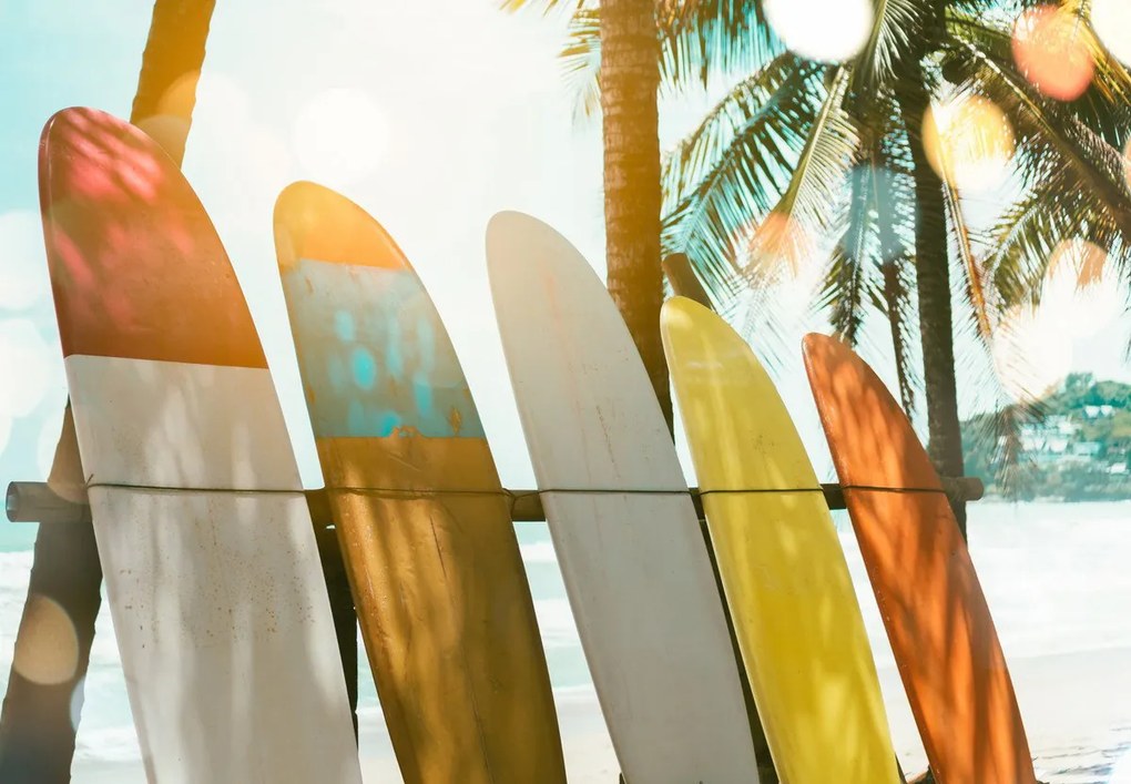 Fototapeta - Deski Surfingowe (196x136 cm)