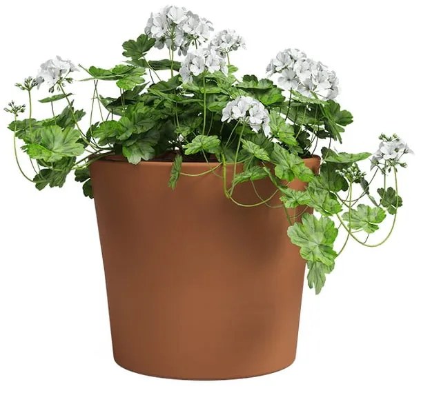 Terakotowa doniczka ø 24 cm Manuel – Artevasi