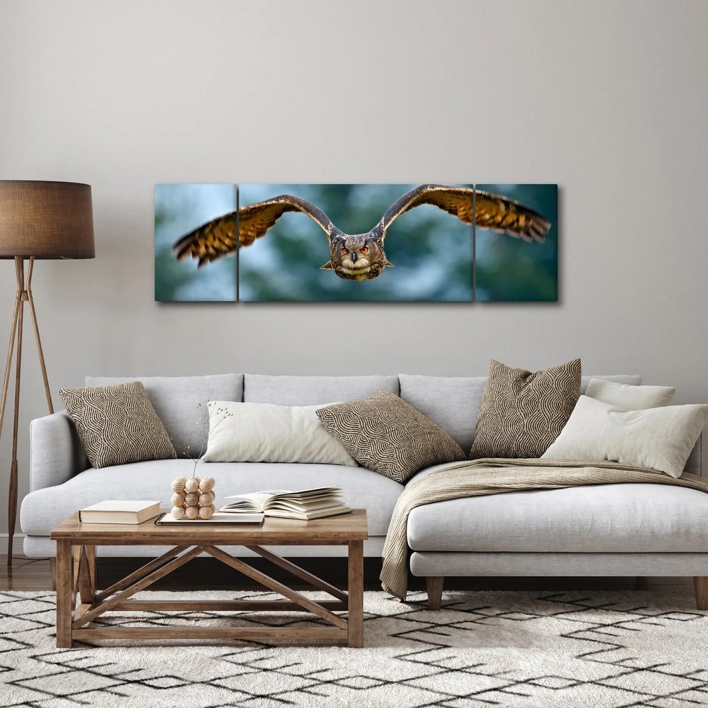 Obraz - Sowa w locie (170x50 cm)