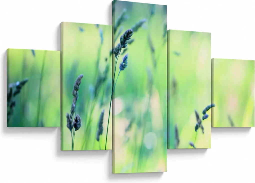Obraz - Szczegół łąki (125x70 cm)