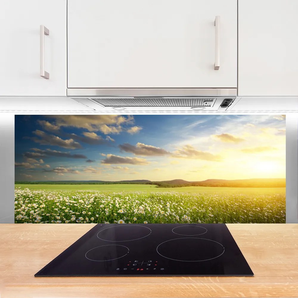 Panel Szklany Barwna Panorama Polnej Łąki