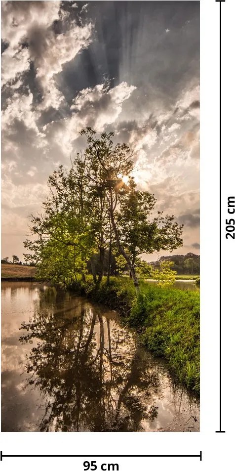 Fototapeta na drzwi - Natura z promieniami (95x205cm)